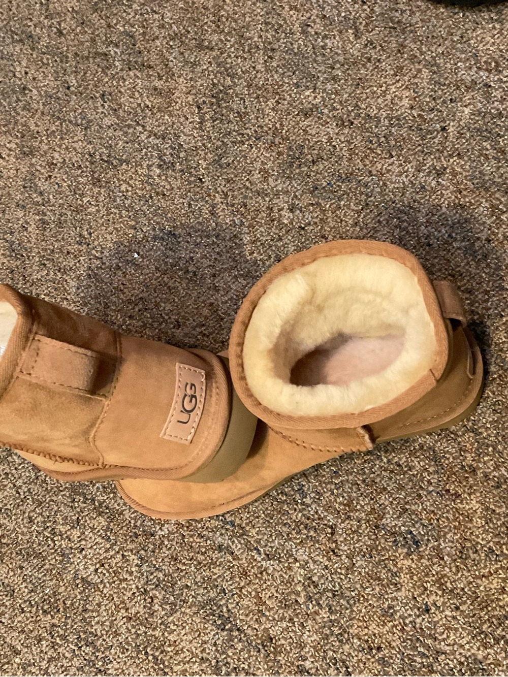 UGG Women's Classic Mini II chestnut 5” shaft height sz6